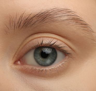 eyelashes